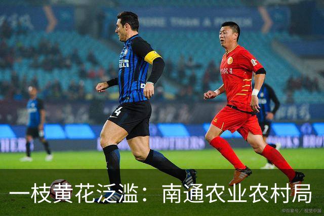 一枝黄花泛滥：南通农业农村局“看不见”，还是装瞎？