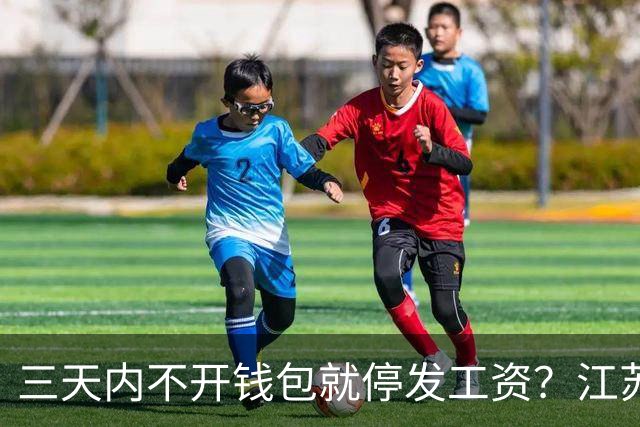 三天内不开钱包就停发工资？江苏高校数币发薪背后大有深意
