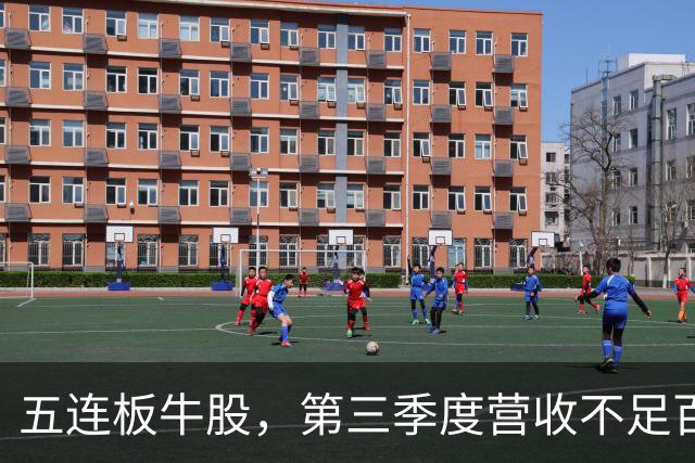 五连板牛股，第三季度营收不足百万，跌停开盘