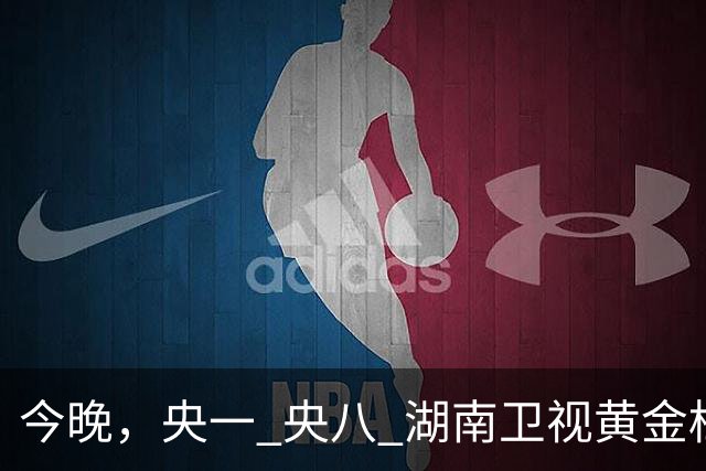 今晚，央一 央八 湖南卫视黄金档排播4部好剧！阵容不错，追哪部