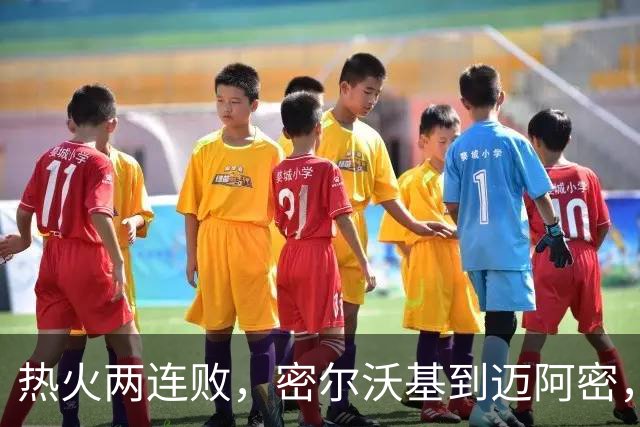 热火两连败，密尔沃基到迈阿密，字母哥只是换了个地方输球