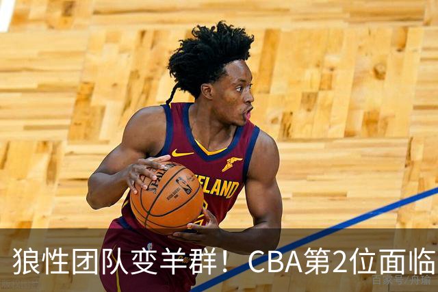 狼性团队变羊群！CBA第2位面临下课主帅曝光，发布会怒喷70%球员不在线，却说自己问心无愧！评论区一边倒
