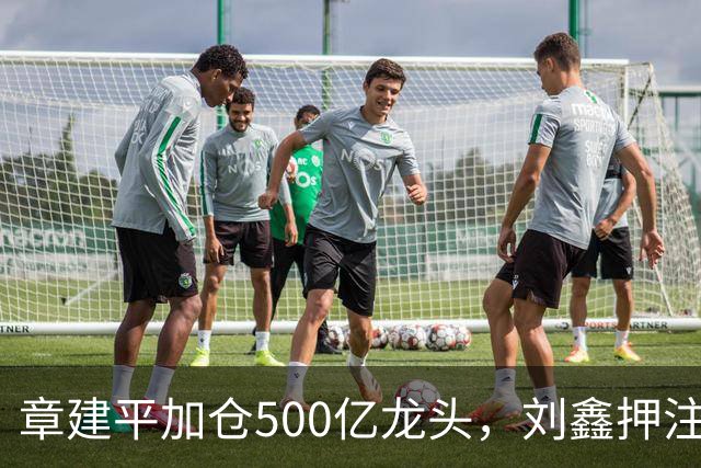 章建平加仓500亿龙头，刘鑫押注商业航天，多名牛散持仓曝光