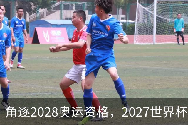 角逐2028奥运资格，2027世界杯签表出炉：中国女排遭世界第1拦路