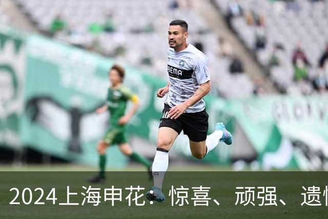 2024上海申花：惊喜、顽强、遗憾--明年拿冠军